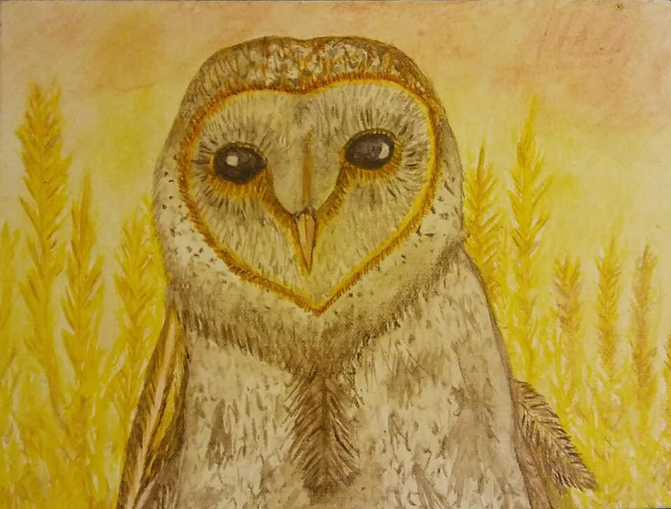 Barn Owl Watercolor Painting